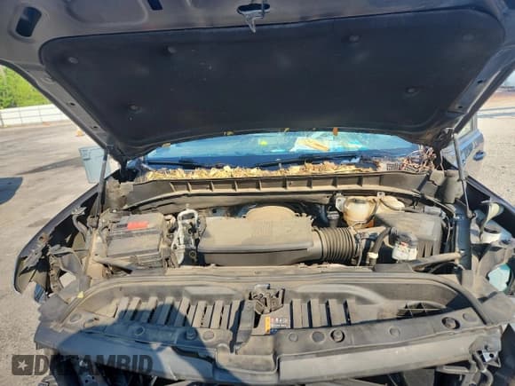 ✅ 2019 Chevrolet Silverado 1500 RST • VIN: 3GCPWDED8KG211672 • Лот: 63322175. Опубликован ранее на Copart с пробегом 83 626 миль. Бесплатный доступ к архиву аукционных продаж из США и подробный отчёт об истории автомобиля на DreamBid. Изображение 11.