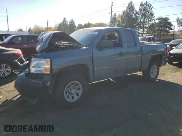 ✅ 2009 Chevrolet Silverado 1500 Work Truck • VIN: 1GCEK19069Z219403 • Lot: 74729834. Listed on Copart with 137,025 mi. Free auction sales archive from the USA and detailed vehicle history report at DreamBid. Image 1.