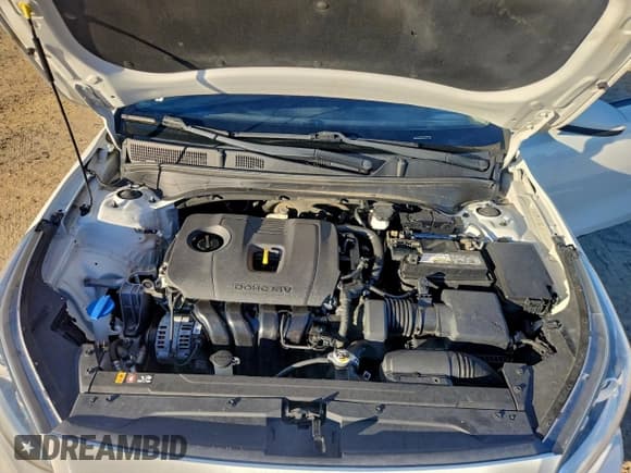 ✅ 2019 Kia Forte LXS • VIN: 3KPF24AD0KE120243 • Lot: 94000495. Listed on Copart with 144,147 mi. Free auction sales archive from the USA and detailed vehicle history report at DreamBid. Image 11.