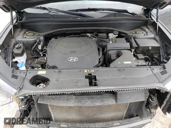 2022 Hyundai Palisade SEL с VIN KM8R44HE6NU425396, выставлен на аукционе Copart как лот 66677514 с пробегом 29 824 миль миль и Списание • Salvage title. История ставок и продаж доступна на DreamBid. Изображение 13.