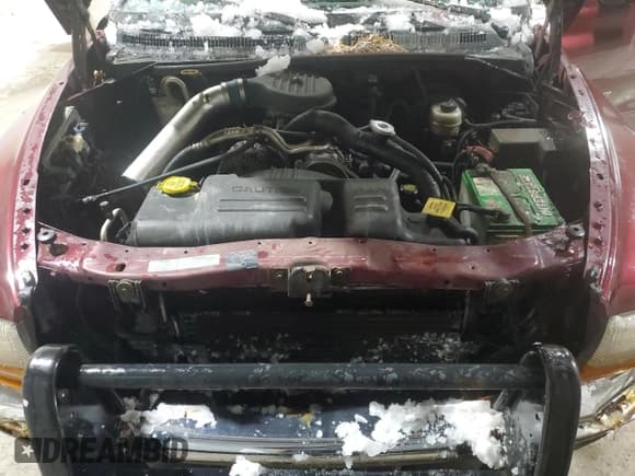 ✅ 2000 Dodge Dakota • VIN: 1B7GL22X5YS644993 • Lot: 85569744. Wystawiony na Copart z przebiegiem 187 288 mil. Bezpłatny archiwum sprzedaży aukcyjnych z USA i szczegółowy raport historii pojazdu na DreamBid. Zdjęcie 11.