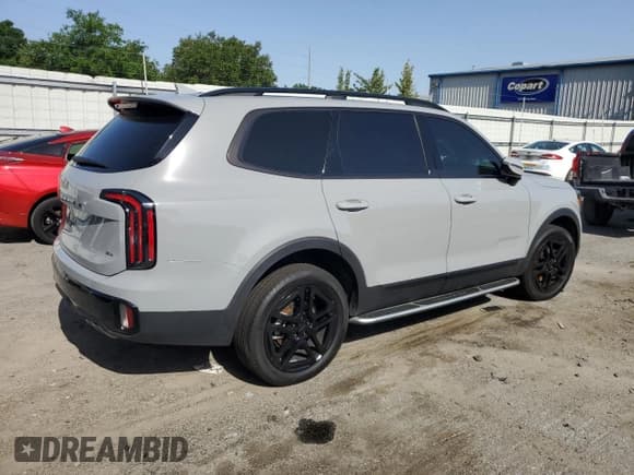 ✅ 2025 Kia Telluride SX X-Line • VIN: 5XYP5DGC3SG568800 • Lot: 57134715. Wystawiony na Copart z przebiegiem Nie podano. Bezpłatny archiwum sprzedaży aukcyjnych z USA i szczegółowy raport historii pojazdu na DreamBid. Zdjęcie 3.