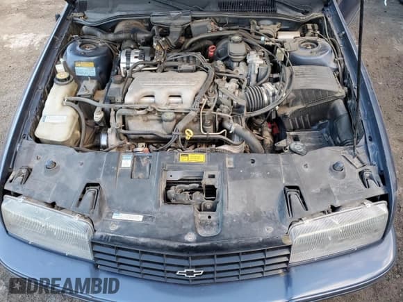 ✅ 1996 Chevrolet Beretta • VIN: 1G1LV15M8TY185316 • Лот: 76835634. Опубликован ранее на Copart с пробегом 87 232 миль. Бесплатный доступ к архиву аукционных продаж из США и подробный отчёт об истории автомобиля на DreamBid. Изображение 11.