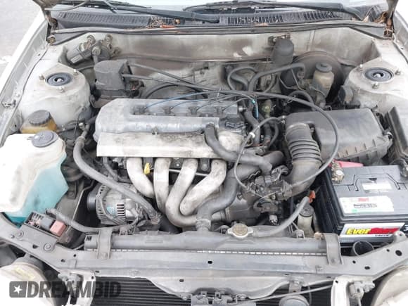 ✅ 1999 Toyota Corolla VE • VIN: 1NXBR12E8XZ244085 • Lot: 42949405. Listed on IAAI with Not provided. Free auction sales archive from the USA and detailed vehicle history report at DreamBid. Image 10.