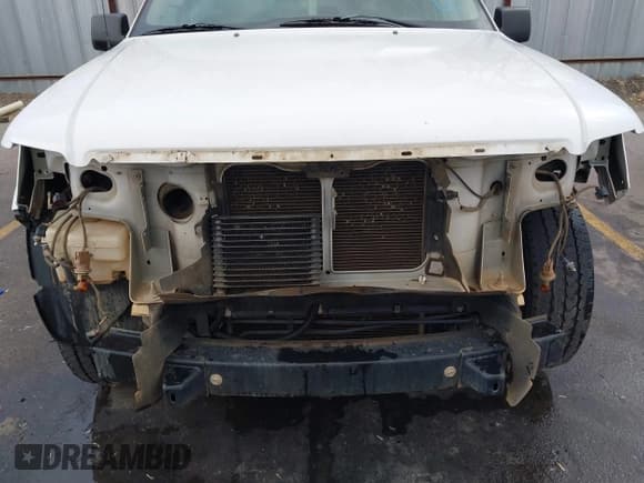 ✅ 2009 Ford Explorer XLT • VIN: 1FMEU73E29UA35599 • Lot: 41481413. Wystawiony na IAAI z przebiegiem 123 528 mil. Bezpłatny archiwum sprzedaży aukcyjnych z USA i szczegółowy raport historii pojazdu na DreamBid. Zdjęcie 6.