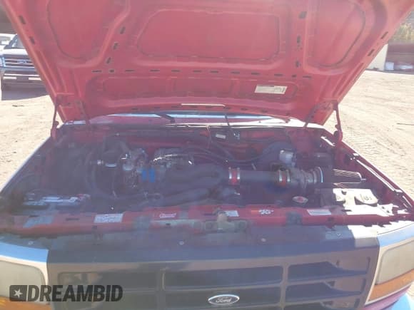 ✅ 1995 Ford F-150 • VIN: 2FTEF15N5SCA33277 • Lot: 43662021. Wystawiony na IAAI z przebiegiem 301 123 mil. Bezpłatny archiwum sprzedaży aukcyjnych z USA i szczegółowy raport historii pojazdu na DreamBid. Zdjęcie 10.