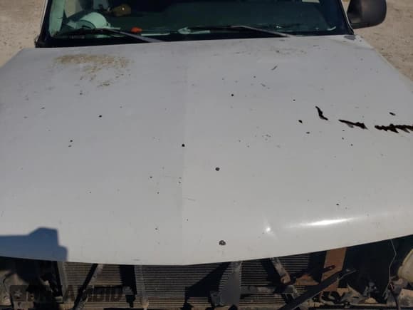 ✅ 1999 Chevrolet Silverado 1500 • VIN: 1GCEK14T0XE116788 • Лот: 75709104. Опубликован ранее на Copart с пробегом Не указан. Бесплатный доступ к архиву аукционных продаж из США и подробный отчёт об истории автомобиля на DreamBid. Изображение 12.