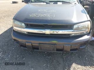 ✅ 2007 Chevrolet TrailBlazer LS • VIN: 1GNDT13S472117386 • Лот: 43206865. Опубликован ранее на IAAI с пробегом Не указан. Бесплатный доступ к архиву аукционных продаж из США и подробный отчёт об истории автомобиля на DreamBid. Изображение 6.