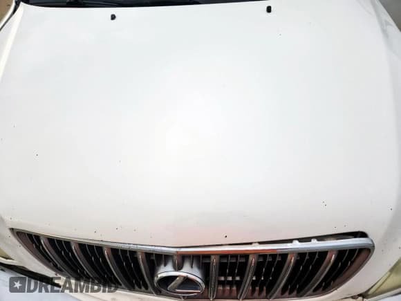 ✅ 2001 Lexus RX 300 • VIN: JTJGF10U410113129 • Lot: 70112455. Wystawiony na Copart z przebiegiem 267 152 mil. Bezpłatny archiwum sprzedaży aukcyjnych z USA i szczegółowy raport historii pojazdu na DreamBid. Zdjęcie 11.