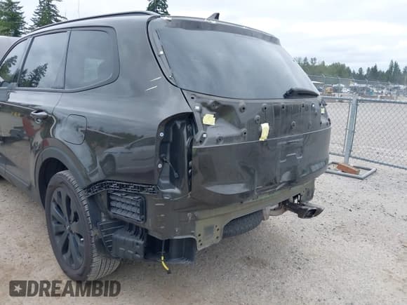 ✅ 2022 Kia Telluride EX • VIN: 5XYP34HC1NG316438 • Lot: 42508673. Wystawiony na IAAI z przebiegiem 96 553 mil. Bezpłatny archiwum sprzedaży aukcyjnych z USA i szczegółowy raport historii pojazdu na DreamBid. Zdjęcie 18.