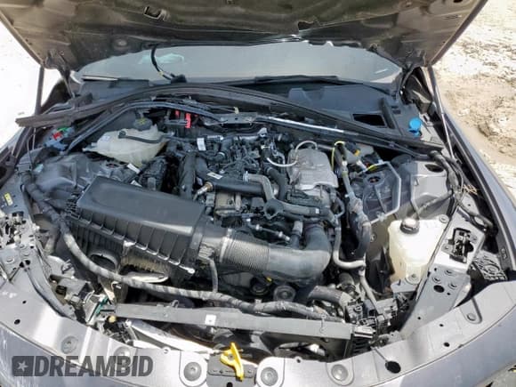 ✅ 2024 Alfa Romeo Giulia Veloce • VIN: ZARFAMBN1R7681805 • Lot: 54937845. Wystawiony na Copart z przebiegiem 15 083 mil. Bezpłatny archiwum sprzedaży aukcyjnych z USA i szczegółowy raport historii pojazdu na DreamBid. Zdjęcie 11.