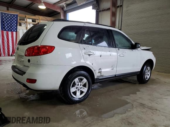 ✅ 2009 Hyundai Santa Fe GLS • VIN: 5NMSG13D89H248048 • Lot: 78258324. Listed on Copart with 261,583 mi. Free auction sales archive from the USA and detailed vehicle history report at DreamBid. Image 3.