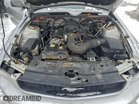 ✅ 2009 Ford Mustang • VIN: 1ZVHT80N495125584 • Лот: 94533995. Опубликован ранее на Copart с пробегом 136 571 миль. Бесплатный доступ к архиву аукционных продаж из США и подробный отчёт об истории автомобиля на DreamBid. Изображение 11.