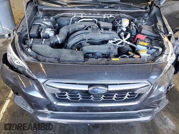 ✅ 2019 Subaru Crosstrek • VIN: JF2GTABC0K8222756 • Lot: 85578725. Wystawiony na Copart z przebiegiem Nie podano. Bezpłatny archiwum sprzedaży aukcyjnych z USA i szczegółowy raport historii pojazdu na DreamBid. Zdjęcie 12.