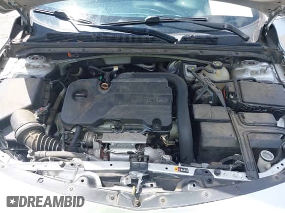 2019 Chevrolet Malibu RS z VIN 1G1ZG5ST2KF201379, wystawiony jako IAAI lot #42780096 z przebiegiem 160 000 mil mil oraz . Historia ofert i sprzedaży dostępna na DreamBid. Obrazek 10.