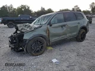 ✅ 2023 Kia Telluride EX X-Line • VIN: 5XYP3DGC9PG345464 • Lot: 70921635. Wystawiony na Copart z przebiegiem 36 795 mil. Bezpłatny archiwum sprzedaży aukcyjnych z USA i szczegółowy raport historii pojazdu na DreamBid. Zdjęcie 1.