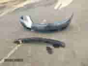 2009 Hyundai Sonata GLS with VIN 5NPET46C39H524779, listed as a IAAI auction lot 43394005 with 75,176 mi miles and . Bid and sale history available at DreamBid. Image 12.