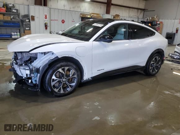 ✅ 2021 Ford Mustang Mach-E Premium • VIN: 3FMTK3RM7MMA59673 • Lot: 47997215. Listed on Copart with 74,658 mi. Free auction sales archive from the USA and detailed vehicle history report at DreamBid. Image 1.