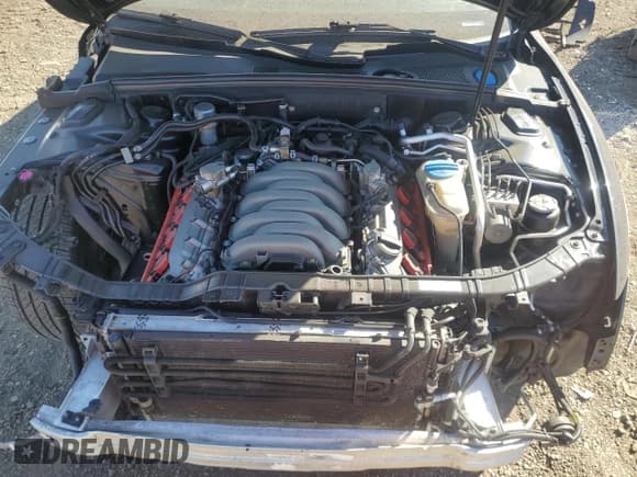 ✅ 2012 Audi S5 Premium Plus • VIN: WAUCVAFRXCA005373 • Лот: 77127594. Опубликован ранее на Copart с пробегом 111 903 миль. Бесплатный доступ к архиву аукционных продаж из США и подробный отчёт об истории автомобиля на DreamBid. Изображение 11.