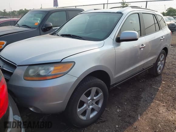 ✅ 2009 Hyundai Santa Fe SE • VIN: 5NMSH13E09H255761 • Lot: 42419450. Listed on IAAI with 252,937 mi. Free auction sales archive from the USA and detailed vehicle history report at DreamBid. Image 2.