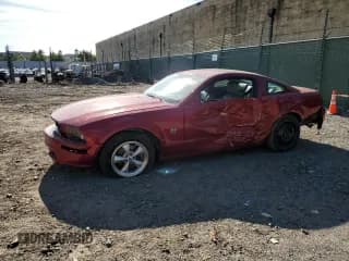 ✅ 2009 Ford Mustang GT • VIN: 1ZVHT82HX95141585 • Лот: 84722515. Опубликован ранее на Copart с пробегом 131 261 миль. Бесплатный доступ к архиву аукционных продаж из США и подробный отчёт об истории автомобиля на DreamBid. Изображение 1.