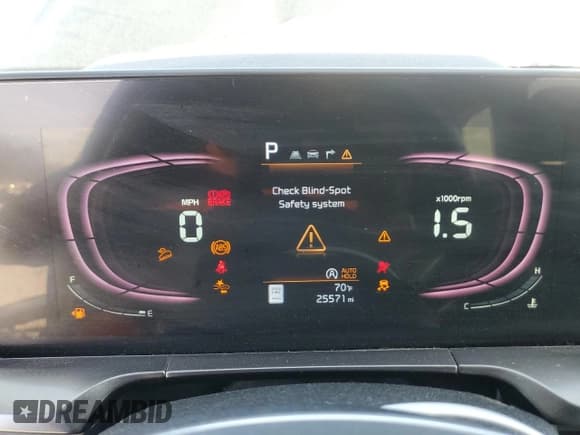 ✅ 2023 Kia Telluride S • VIN: 5XYP6DGC5PG354220 • Lot: 49567635. Wystawiony na Copart z przebiegiem 25 571 mil. Bezpłatny archiwum sprzedaży aukcyjnych z USA i szczegółowy raport historii pojazdu na DreamBid. Zdjęcie 9.