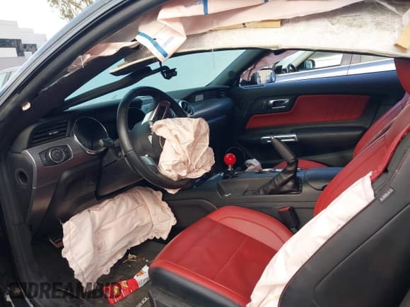 ✅ 2017 Ford Mustang GT • VIN: 1FA6P8CF2H5277824 • Lot: 43189021. Wystawiony na IAAI z przebiegiem 33 174 mil. Bezpłatny archiwum sprzedaży aukcyjnych z USA i szczegółowy raport historii pojazdu na DreamBid. Zdjęcie 18.