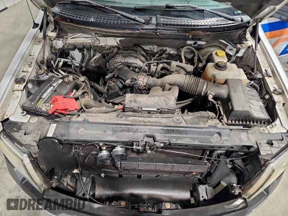 ✅ 2014 Ford F-150 XL • VIN: 1FTMF1CM5EKF14345 • Lot: 94582335. Wystawiony na Copart z przebiegiem 112 571 mil. Bezpłatny archiwum sprzedaży aukcyjnych z USA i szczegółowy raport historii pojazdu na DreamBid. Zdjęcie 11.