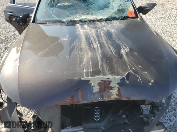 ✅ 2015 Audi Q5 Premium Plus • VIN: WA1LFAFPXFA022381 • Lot: 82053215. Wystawiony na Copart z przebiegiem Nie podano. Bezpłatny archiwum sprzedaży aukcyjnych z USA i szczegółowy raport historii pojazdu na DreamBid. Zdjęcie 12.