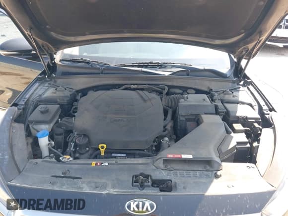 ✅ 2019 Kia Cadenza Technology • VIN: KNALC4J15K5170456 • Lot: 43224199. Wystawiony na IAAI z przebiegiem 105 892 mil. Bezpłatny archiwum sprzedaży aukcyjnych z USA i szczegółowy raport historii pojazdu na DreamBid. Zdjęcie 10.