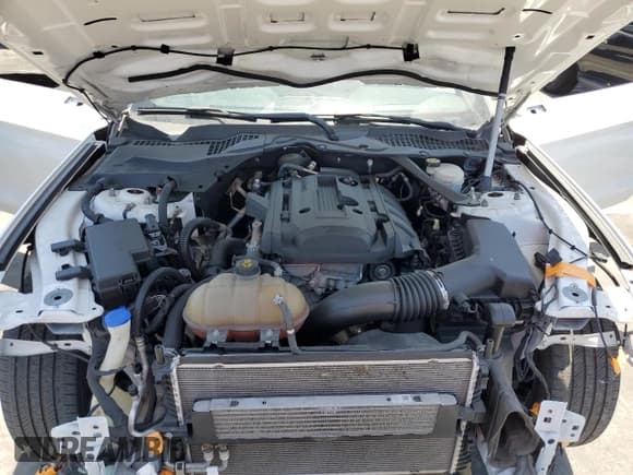 ✅ 2020 Ford Mustang EcoBoost • VIN: 1FATP8UH4L5119934 • Лот: 57671465. Опубликован ранее на Copart с пробегом 57 396 миль. Бесплатный доступ к архиву аукционных продаж из США и подробный отчёт об истории автомобиля на DreamBid. Изображение 11.