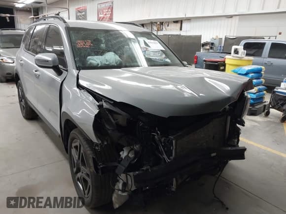 ✅ 2024 Kia Telluride EX X-Line • VIN: 5XYP3DGC3RG487764 • Lot: 43633827. Listed on IAAI with 19,045 mi. Free auction sales archive from the USA and detailed vehicle history report at DreamBid. Image 1.