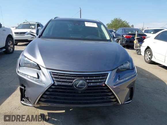 ✅ 2019 Lexus NX 300 • VIN: JTJYARBZ5K2117853 • Lot: 42787897. Wystawiony na IAAI z przebiegiem 128 817 mil. Bezpłatny archiwum sprzedaży aukcyjnych z USA i szczegółowy raport historii pojazdu na DreamBid. Zdjęcie 12.
