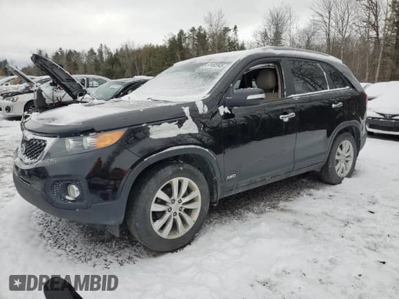 ✅ 2011 Kia Sorento EX • VIN: 5XYKUDA28BG061159 • Лот: 91492845. Опубликован ранее на Copart с пробегом 173 423 миль. Бесплатный доступ к архиву аукционных продаж из США и подробный отчёт об истории автомобиля на DreamBid. Изображение 1.