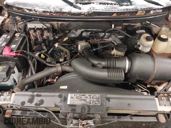 ✅ 2008 Ford F-150 XL • VIN: 1FTRF12WX8KD87105 • Lot: 43648160. Listed on IAAI with 87,446 mi. Free auction sales archive from the USA and detailed vehicle history report at DreamBid. Image 10.