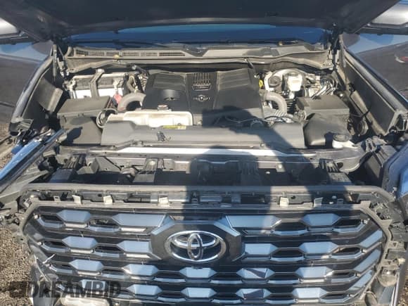 ✅ 2023 Toyota Tundra Platinum • VIN: 5TFNA5DB0PX072992 • Lot: 81398415. Listed on Copart with 56,985 mi. Free auction sales archive from the USA and detailed vehicle history report at DreamBid. Image 11.