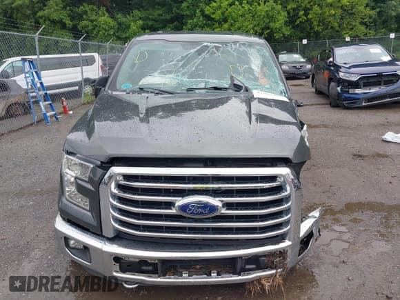 ✅ 2016 Ford F-150 XLT • VIN: 1FTEW1EP5GFA69130 • Lot: 42585487. Wystawiony na IAAI z przebiegiem Nie podano. Bezpłatny archiwum sprzedaży aukcyjnych z USA i szczegółowy raport historii pojazdu na DreamBid. Zdjęcie 12.