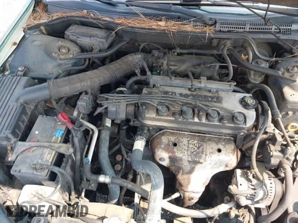 2001 Honda Accord VP with VIN 1HGCF86601A091564, listed as a IAAI auction lot 42400388 with 283,122 mi miles and . Bid and sale history available at DreamBid. Image 10.