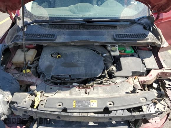 ✅ 2014 Ford Escape SE • VIN: 1FMCU0GX5EUD66178 • Lot: 67240305. Wystawiony na Copart z przebiegiem 116 245 mil. Bezpłatny archiwum sprzedaży aukcyjnych z USA i szczegółowy raport historii pojazdu na DreamBid. Zdjęcie 12.