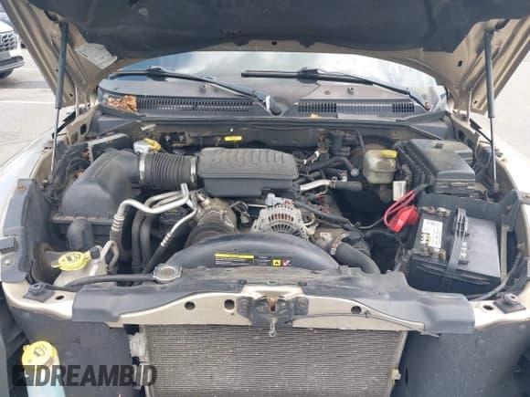 ✅ 2005 Dodge Dakota SLT • VIN: 1D7HW48N95S269592 • Lot: 42675637. Listed on IAAI with 153,456 mi. Free auction sales archive from the USA and detailed vehicle history report at DreamBid. Image 10.