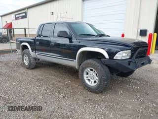 ✅ 2004 Dodge Dakota SLT • VIN: 1D7HG48N94S740006 • Lot: 42241181. Wystawiony na IAAI z przebiegiem 221 192 mil. Bezpłatny archiwum sprzedaży aukcyjnych z USA i szczegółowy raport historii pojazdu na DreamBid. Zdjęcie 1.
