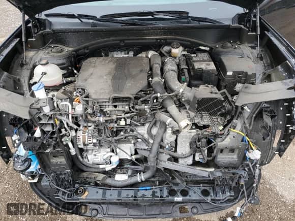 2024 Hyundai Santa Fe Limited с VIN 5NMP4DGL0RH021423, выставлен на аукционе Copart как лот 44332085 с пробегом 9 427 миль миль и Чистый • Clean title. История ставок и продаж доступна на DreamBid. Изображение 12.