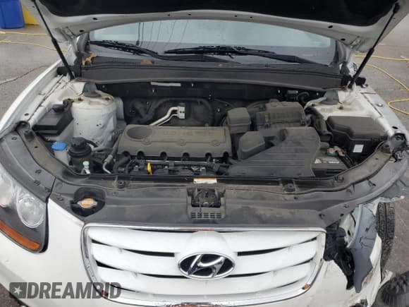 ✅ 2010 Hyundai Santa Fe GLS • VIN: 5NMSG3AB5AH405083 • Лот: 89907595. Опубликован ранее на Copart с пробегом 118 262 миль. Бесплатный доступ к архиву аукционных продаж из США и подробный отчёт об истории автомобиля на DreamBid. Изображение 12.