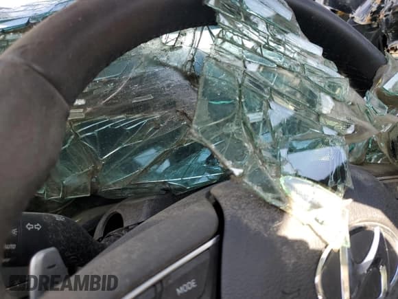 ✅ 2020 Hyundai Palisade SEL • VIN: KM8R4DHE8LU062273 • Лот: 89862255. Опубликован ранее на Copart с пробегом Не указан. Бесплатный доступ к архиву аукционных продаж из США и подробный отчёт об истории автомобиля на DreamBid. Изображение 9.