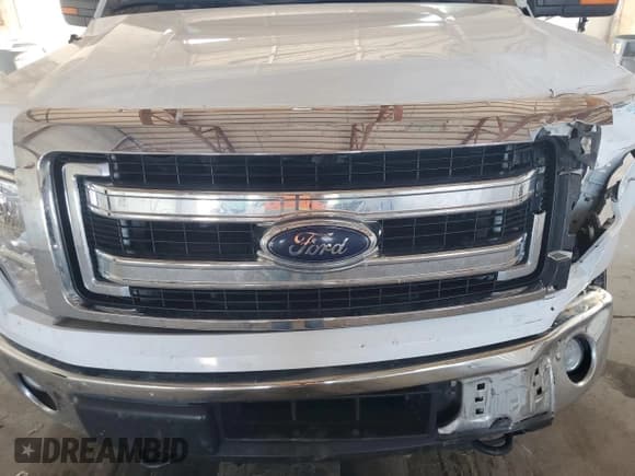 ✅ 2014 Ford F-150 XLT • VIN: 1FTFW1ET7EFA21885 • Lot: 81234605. Wystawiony na Copart z przebiegiem 175 014 mil. Bezpłatny archiwum sprzedaży aukcyjnych z USA i szczegółowy raport historii pojazdu na DreamBid. Zdjęcie 11.