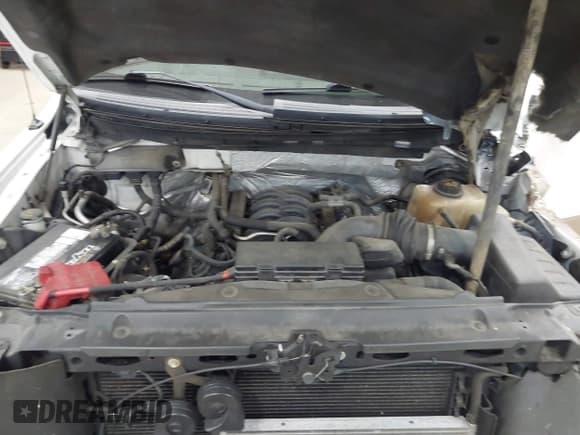 ✅ 2011 Ford F-150 XL • VIN: 1FTFW1EF2BFC99678 • Lot: 43250903. Listed on IAAI with 149,975 mi. Free auction sales archive from the USA and detailed vehicle history report at DreamBid. Image 10.