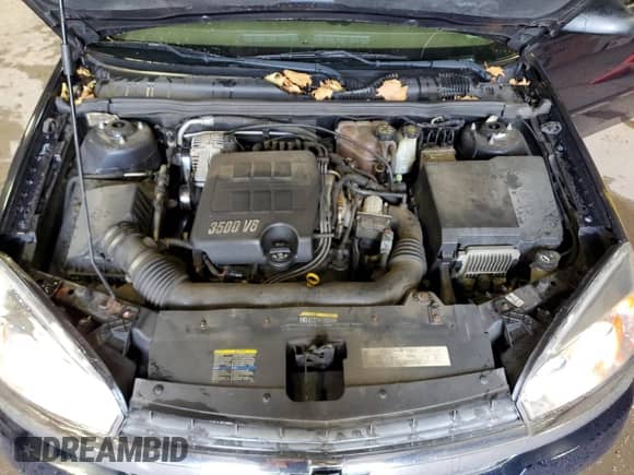 2005 Chevrolet Malibu LS z VIN 1G1ZT52895F218952, wystawiony jako Copart lot #76559124 z przebiegiem 139 048 mil mil oraz Szkoda całkowita • Salvage title. Historia ofert i sprzedaży dostępna na DreamBid. Obrazek 11.