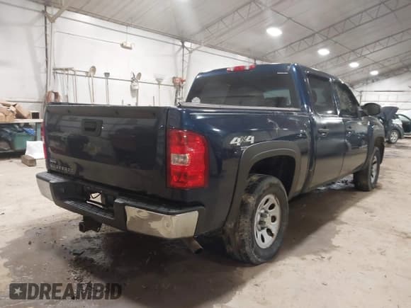 ✅ 2010 Chevrolet Silverado 1500 Work Truck • VIN: 3GCRKPEA2AG201374 • Lot: 41150792. Listed on IAAI with Not provided. Free auction sales archive from the USA and detailed vehicle history report at DreamBid. Image 4.