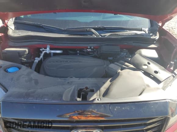 ✅ 2024 Honda Passport Black Edition • VIN: 5FNYF8H8XRB001214 • Lot: 87203914. Wystawiony na Copart z przebiegiem 23 124 mil. Bezpłatny archiwum sprzedaży aukcyjnych z USA i szczegółowy raport historii pojazdu na DreamBid. Zdjęcie 12.