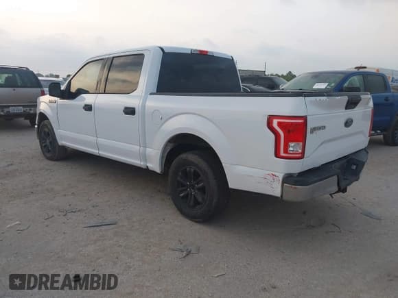 ✅ 2017 Ford F-150 XL • VIN: 1FTEW1CF3HKD11318 • Lot: 42302223. Wystawiony na IAAI z przebiegiem 247 713 mil. Bezpłatny archiwum sprzedaży aukcyjnych z USA i szczegółowy raport historii pojazdu na DreamBid. Zdjęcie 3.